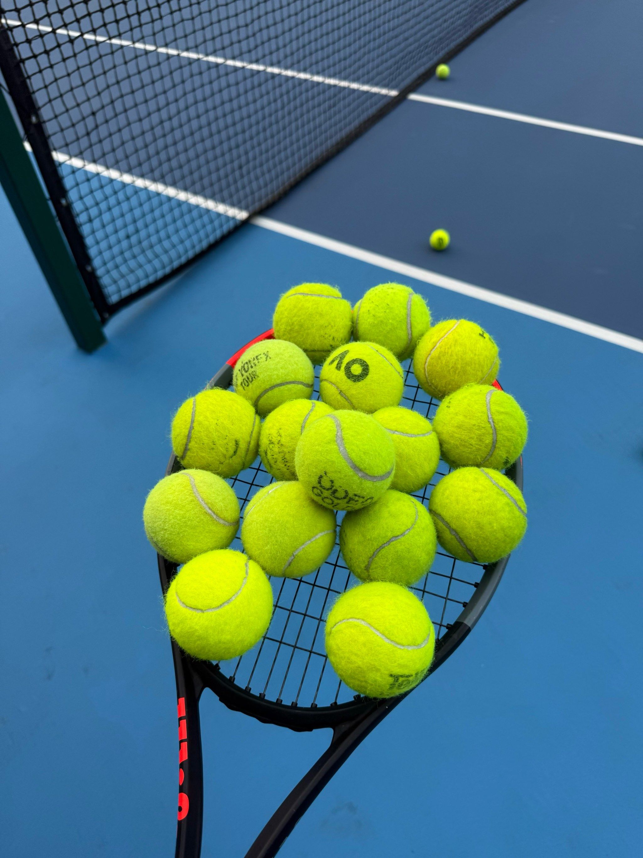 后者回应 后者回应