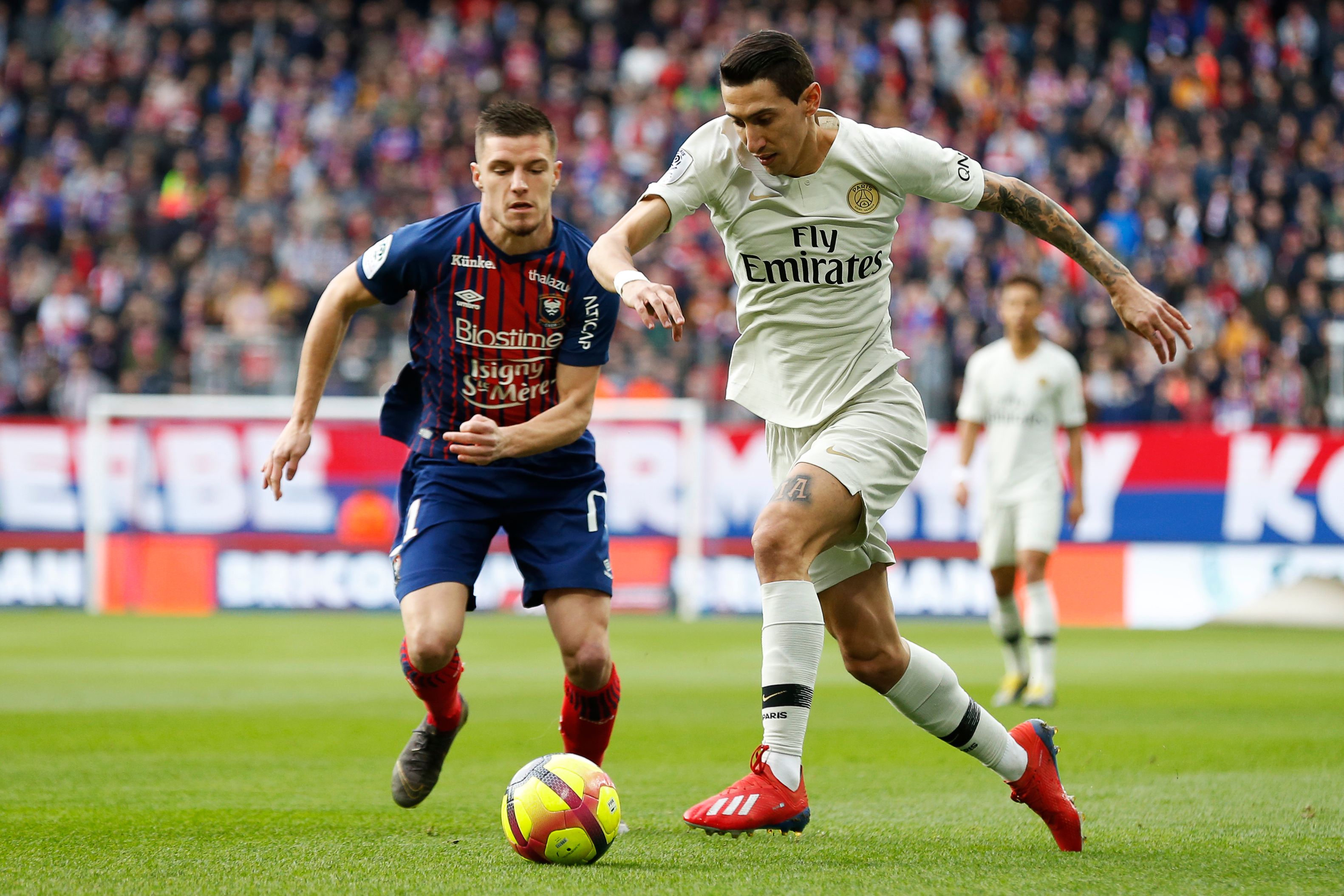 体育与海钓 体育与海钓