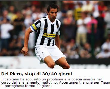 扰改变灰熊 扰改变灰熊